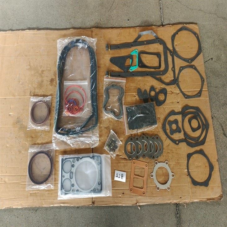 1002580535 Engine Repair Kit For WP10 WD618 factory 1002580535 Engine Repair Kit For WP10 WD618 factory