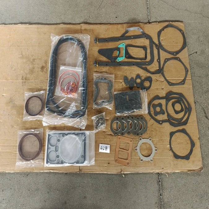 1002580535 Engine Repair Kit for WP10 WD618 1002580535 Engine Repair Kit for WP10 WD618